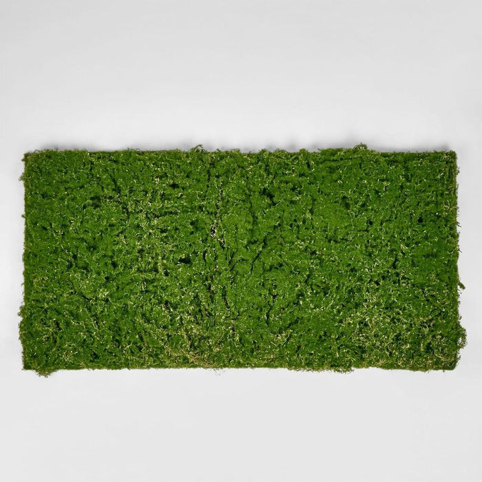 Moss Mat 100cm x 50cm Green Pack of 2