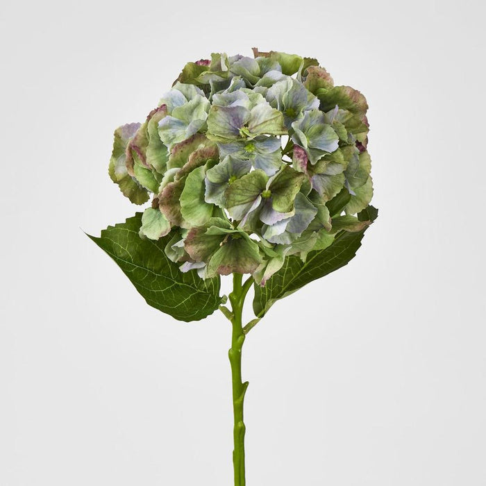 Susan Hydrangea Soft Touch Antique Green
52cm - Pack of 12