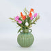 Liv Soft Touch Tulip White
45cm - Pack of 60