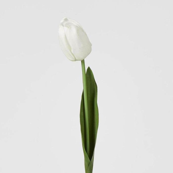 Liv Soft Touch Tulip White
45cm - Pack of 60