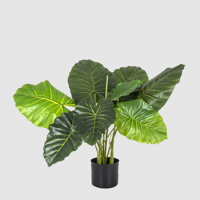 Philo Tree Real Touch 68cm Set of 2