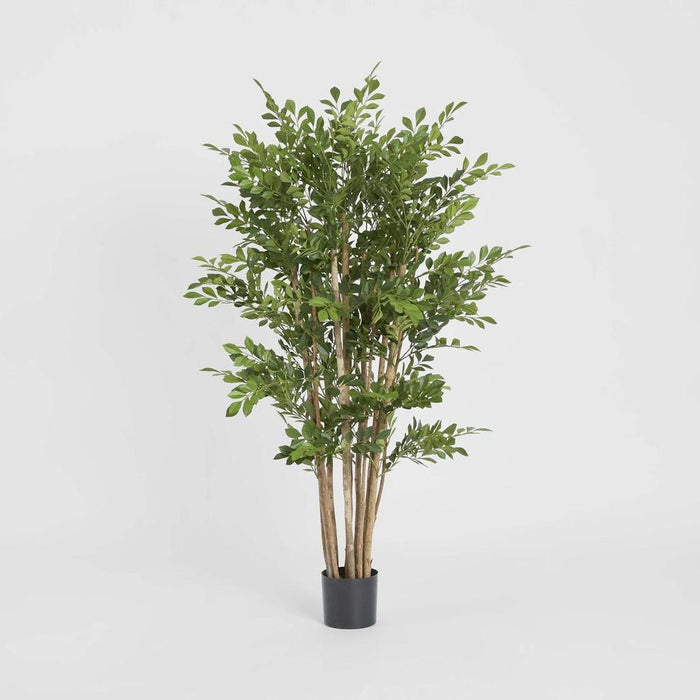 Eucalyptus Mini Leaf Tree Green Green 120cm
