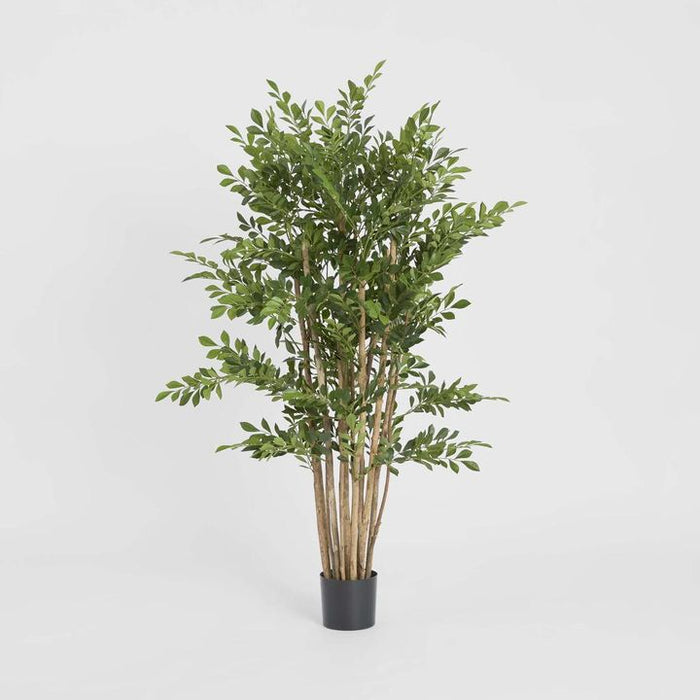 Eucalyptus Mini Leaf Tree Green Green 120cm