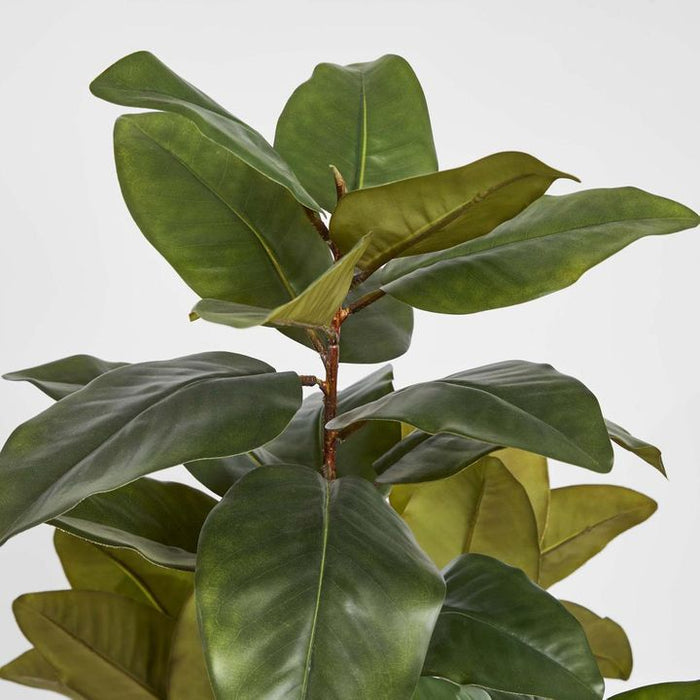 Magnolia Tree Real Touch 170cm