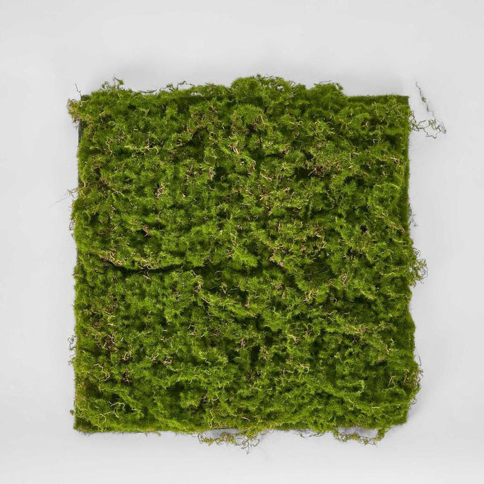 Moss Mat 40cm Green Pack of 12