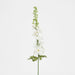 Delphinium Flower Stem 88cm White - Pack of 12
