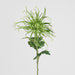 Spider Mum Floral Stem 71cm Green - Pack of 12