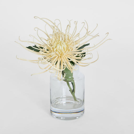 Spider Mum Stem in Vase 20cm Cream - Pack of 6