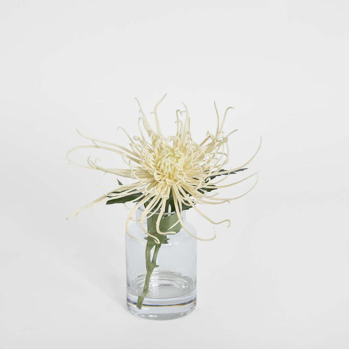 Spider Mum Stem in Vase 20cm Cream - Pack of 6