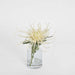 Spider Mum Stem in Vase 20cm Cream - Pack of 6