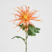 Spider Mum Floral Stem 71cm Orange - Pack of 12
