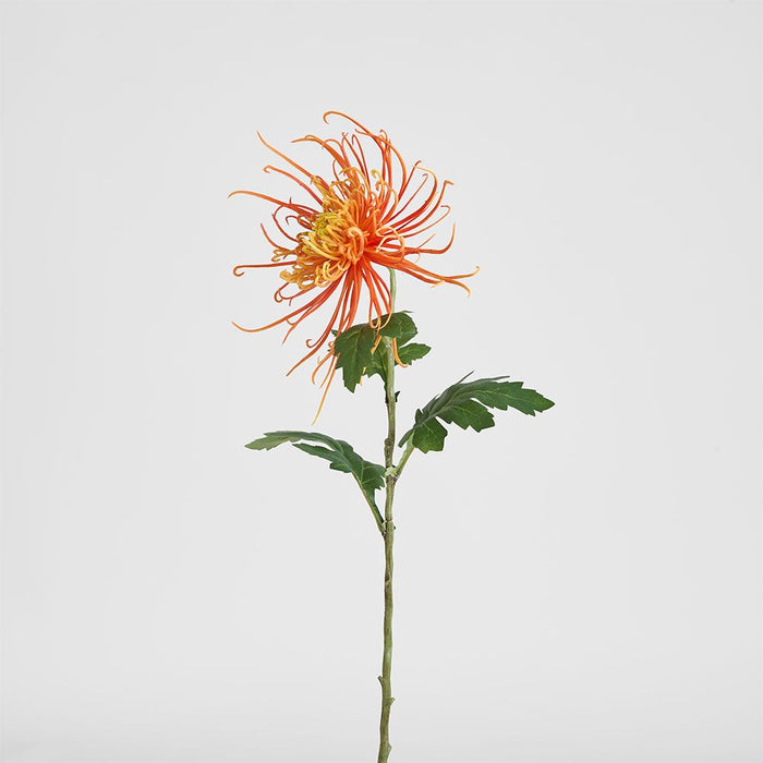 Spider Mum Floral Stem 71cm Orange - Pack of 12