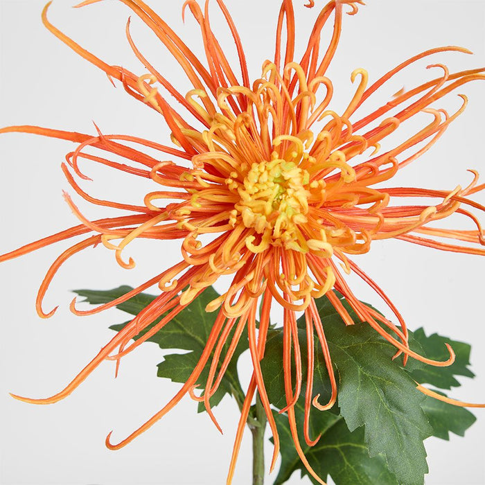 Spider Mum Floral Stem 71cm Orange - Pack of 12