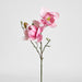 Magnolia Flower Stem With 2 Heads & Bud 87cm Pink - Pack of 12