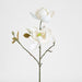 Magnolia Flower Stem With 2 Heads & Bud 87cm White - Pack of 12