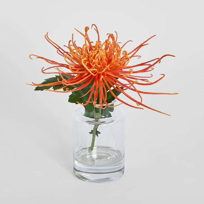 Spider Mum Stem in Vase 20cm Orange - Pack of 6