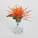 Spider Mum Stem in Vase 20cm Orange - Pack of 6