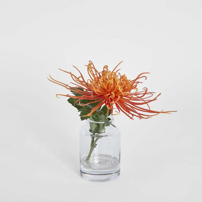 Spider Mum Stem in Vase 20cm Orange - Pack of 6