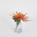 Spider Mum Stem in Vase 20cm Orange - Pack of 6
