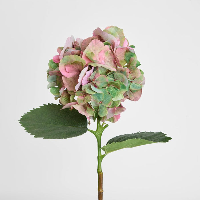 Hydrangea Large Stem With Leaves 75cm Light Pink - Pack of 12