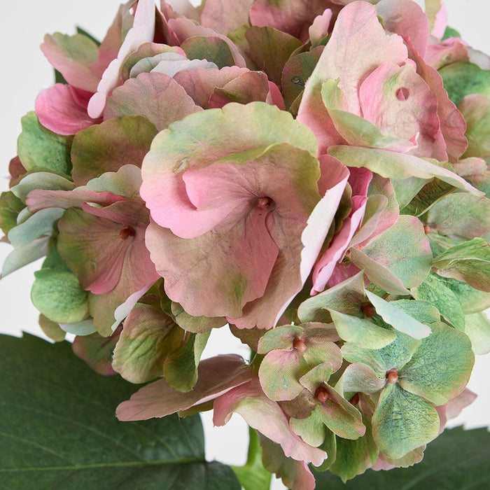 Hydrangea Large Stem With Leaves 75cm Light Pink - Pack of 12