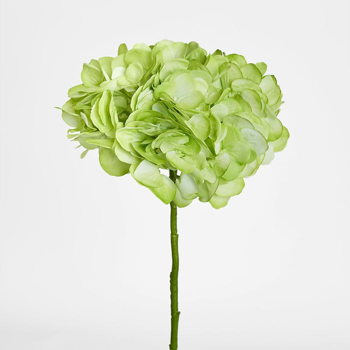 Soft Touch Hydrangea Flower Stem 75cm Green - Pack of 6