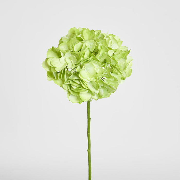 Soft Touch Hydrangea Flower Stem 75cm Green - Pack of 6