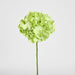 Soft Touch Hydrangea Flower Stem 75cm Green - Pack of 6