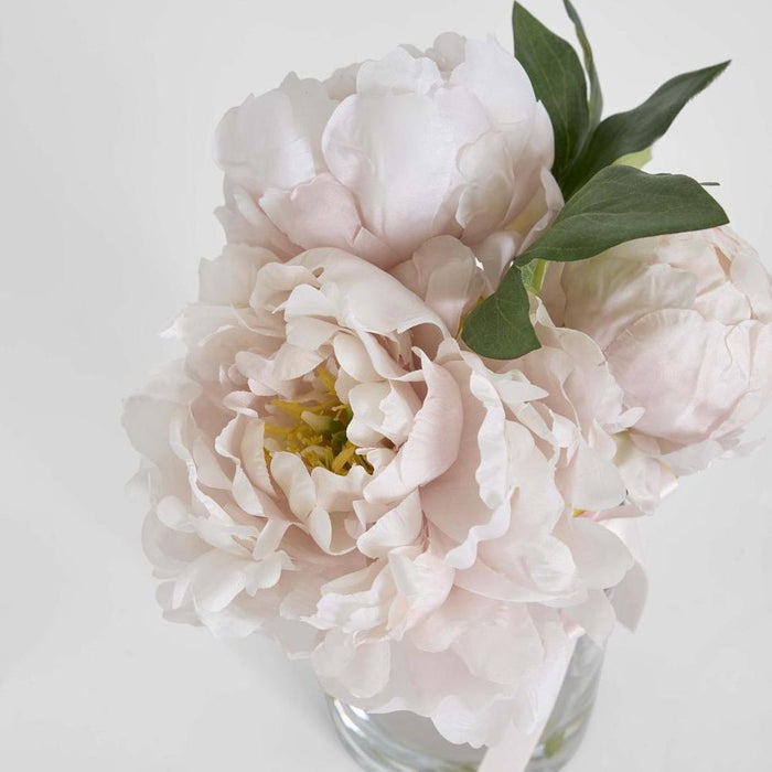 Peony Arrangement in Vase 23cm Pink Light Pink - Pack of 6