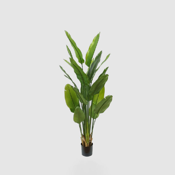 Bird of Paradise Real Touch 180cm