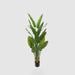 Bird of Paradise Real Touch 180cm