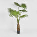 Fan Palm Tree 200cm Green