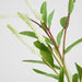 Virginia Willow Spray 89cm White Cream - Pack of 12