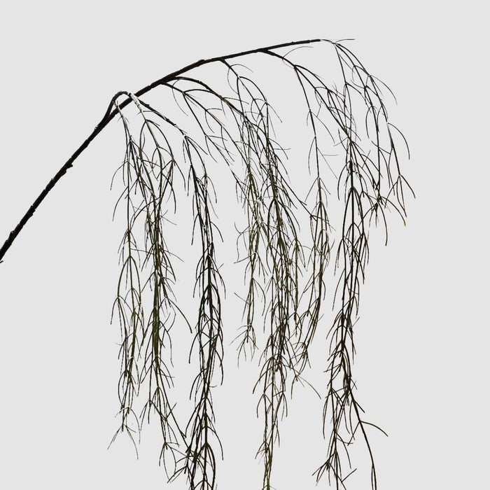 Coral Grass Green 156cm - Pack of 12