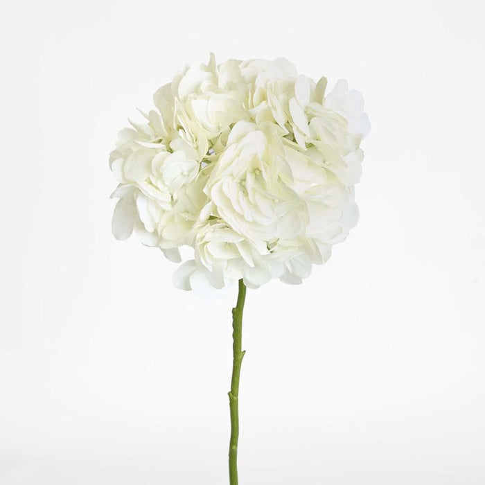 Soft Touch Hydrangea Flower Stem 75cm Cream - Pack of 6