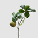 Pears Branch Spray Green 60cm - Pack of 12
