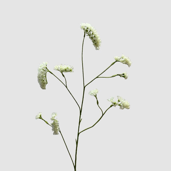 Rosemary White 92cm - Pack of 24