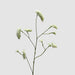 Rosemary White 92cm - Pack of 24