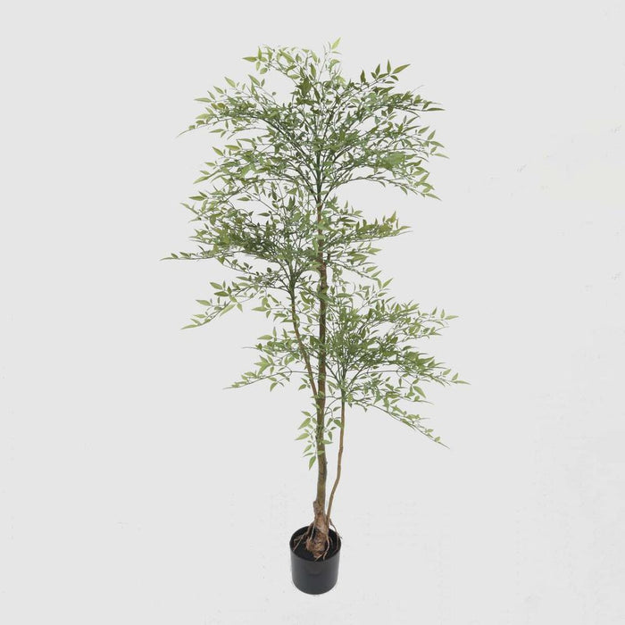 Green Nandina Tree 170cm