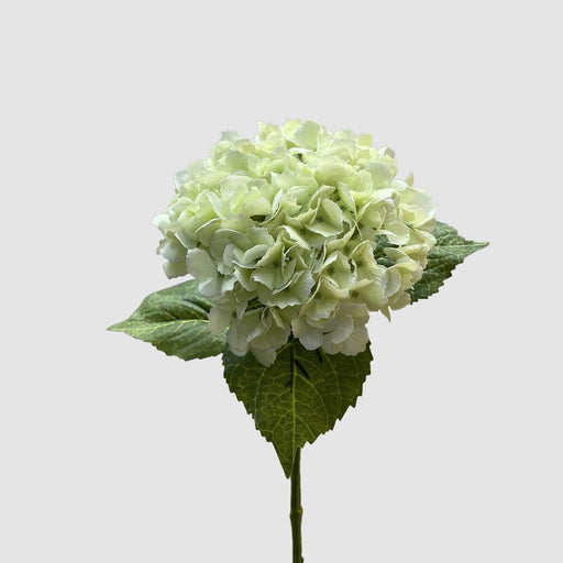 Hydrangea Real Touch White 63cm - Pack of 12