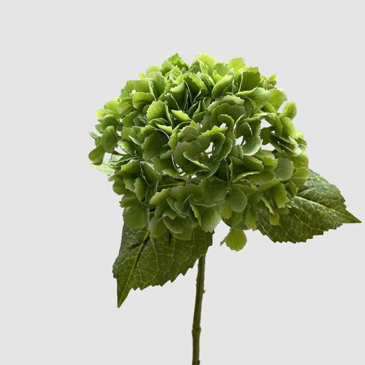 Hydrangea Real Touch Green 63cm - Pack of 12