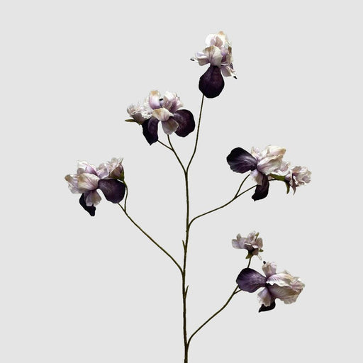 Iris Purple 94cm - Pack of 12