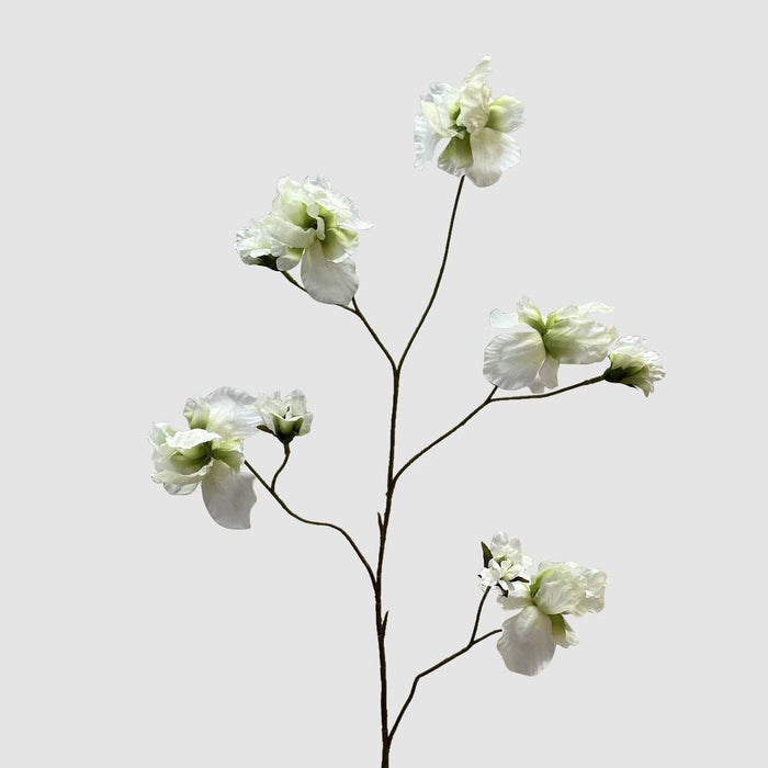 Iris White 94cm - Pack of 12