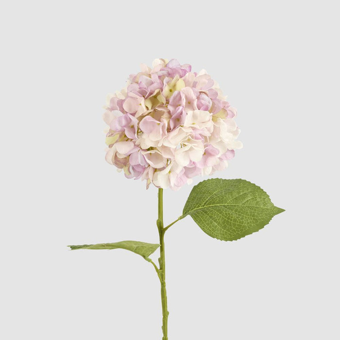 Claire Hydrangea Stem Pink 66cm - Pack of 12