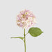 Claire Hydrangea Stem Pink 66cm - Pack of 12