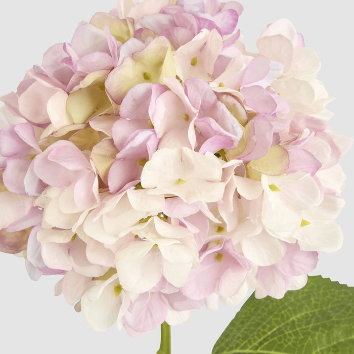 Claire Hydrangea Stem Pink 66cm - Pack of 12