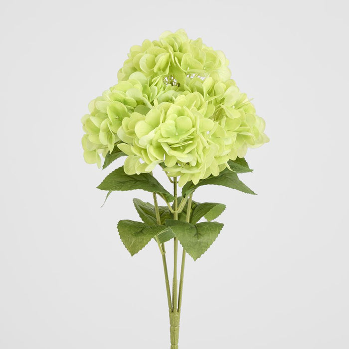 Fresh Touch Hydrangea Bunch Green 46cm - Pack of 12