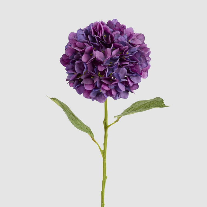 Claire Hydrangea Stem Purple 66cm - Pack of 12