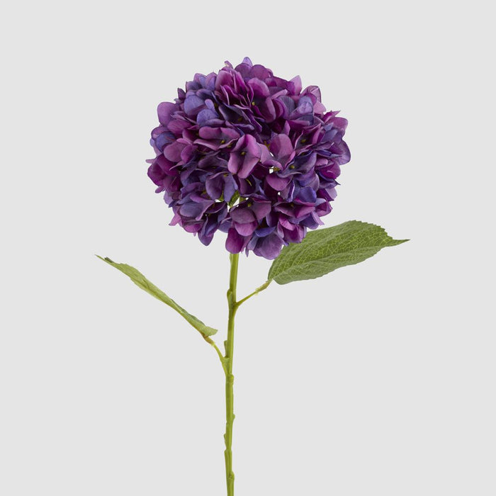 Claire Hydrangea Stem Purple 66cm - Pack of 12