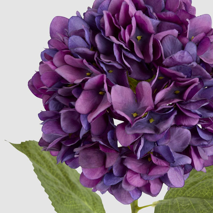Claire Hydrangea Stem Purple 66cm - Pack of 12